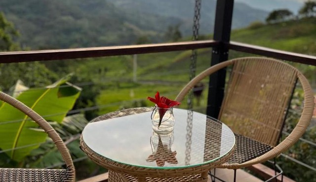 Cabañas Alondra - Hotel Boutique in Vergara