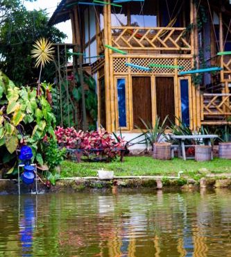 CASA DEL ÁRBOL, Romántico, Piscina, en Chinauta, el mejor clima