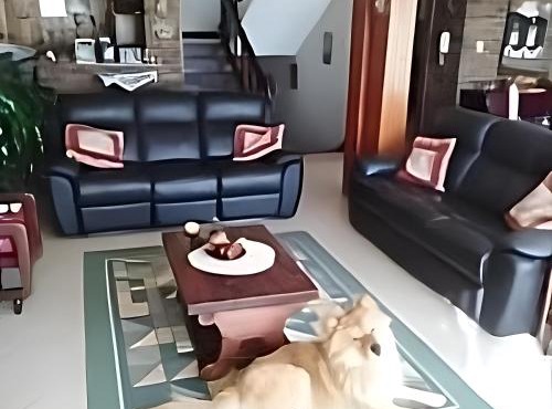 CHALET LOS PINOS in Duitama