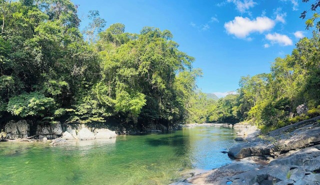 CreekVista – vista y encanto del charco