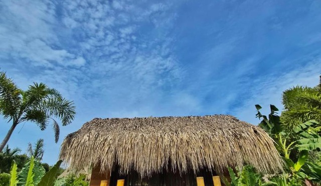 Dos Peladas Hostal in Santa Marta