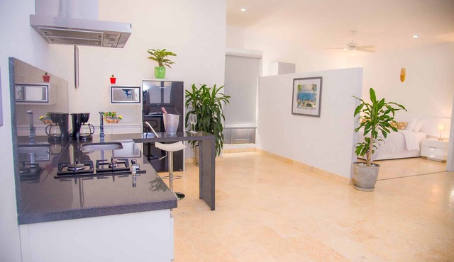 El Cactus Luxury Apartments in Historic Center