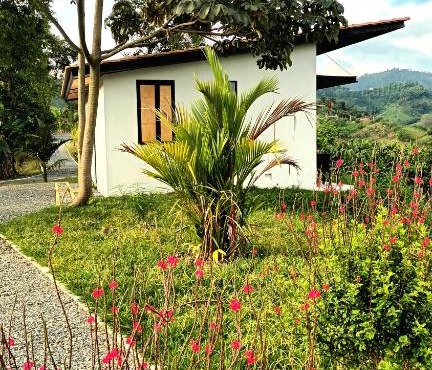 Finca Abisinia