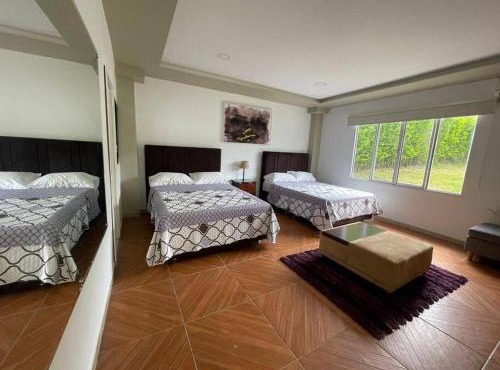 Finca Bélgica en la Tebaida