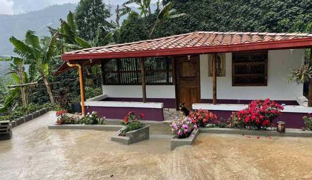 Finca de Café La Guadalupe, Casa de Campo Jardín