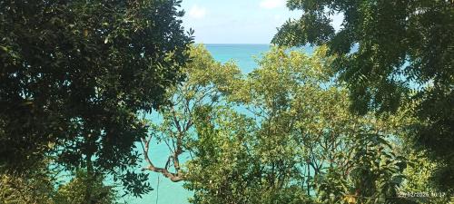 Frente al mar APARTO STUDIO BLUE LIZARD