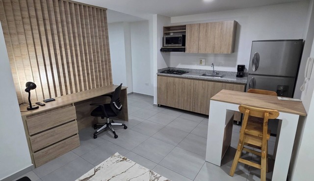 Functional and Nice Apartment Excellent for 3 People (pet friendly)