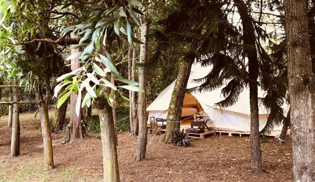 Green Glamping el Salitre