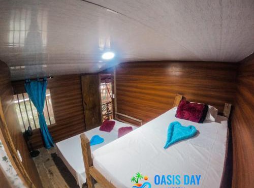 Hostal Oasis Day