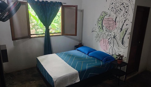 Hostal Palomino EcoHouse & Camping