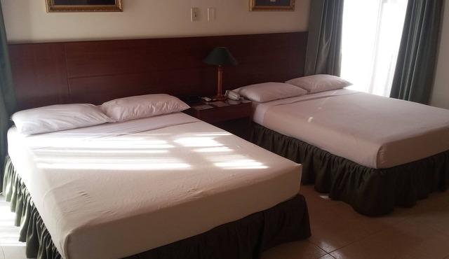Hotel Alhambra Granada in Granada