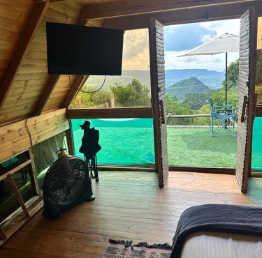 JUNGLAMP-Conexión con la naturaleza