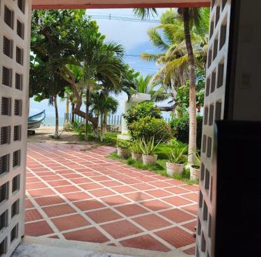 Las Margaritas Frente al Mar 1
