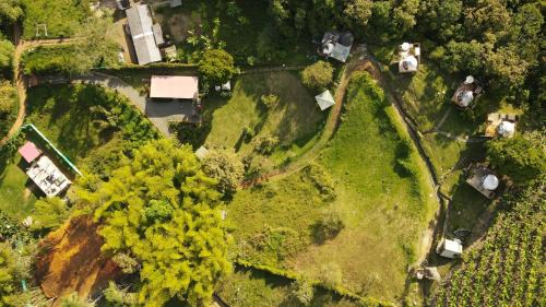 MACA GLAMPING in Calima