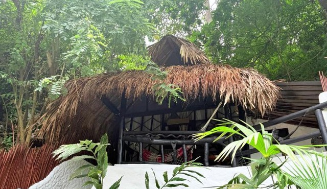 Monte Verde Tayrona