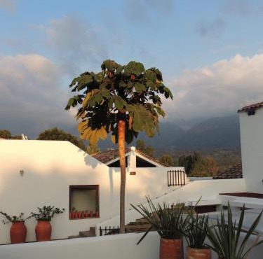 PASSADHI Ayurveda & Yoga Retreat