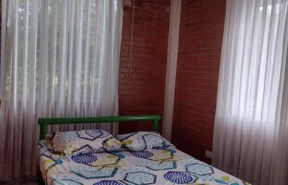 PRECIOSA FINCA EN ALVARADO TOLIMA in Ibagué