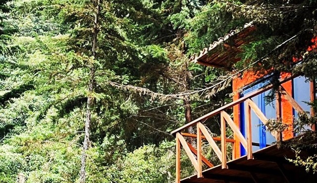 Premium Cabin, 1 King Bed, Mountain View
