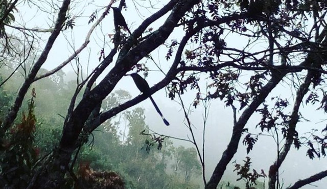 Refugio en las Nubes in Santa Elena