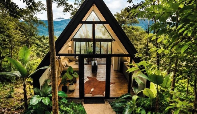 The Naked Jungle Luxury A-Frame w/Mountain View