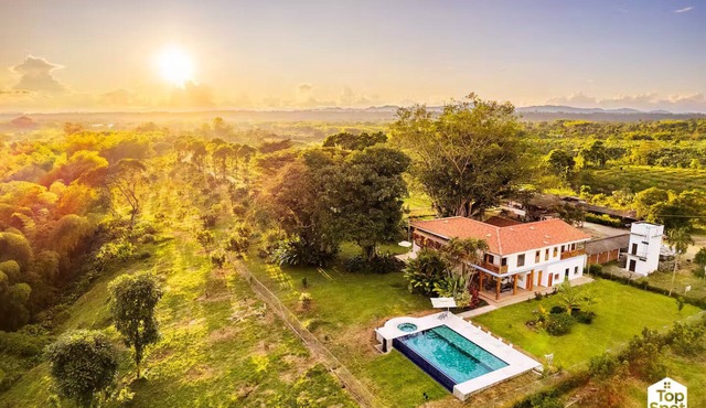 TopSpot® in Quindío: The Coffee Region Heart