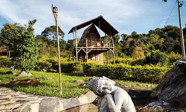 VILLA DE LOS ANGELES GLAMPING