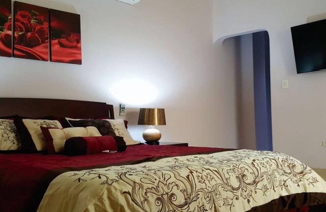 Habitación Individual Deluxe