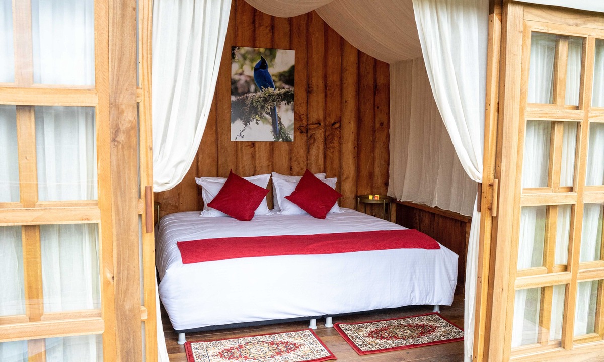 Salento Cabin | Finca Los Arboles