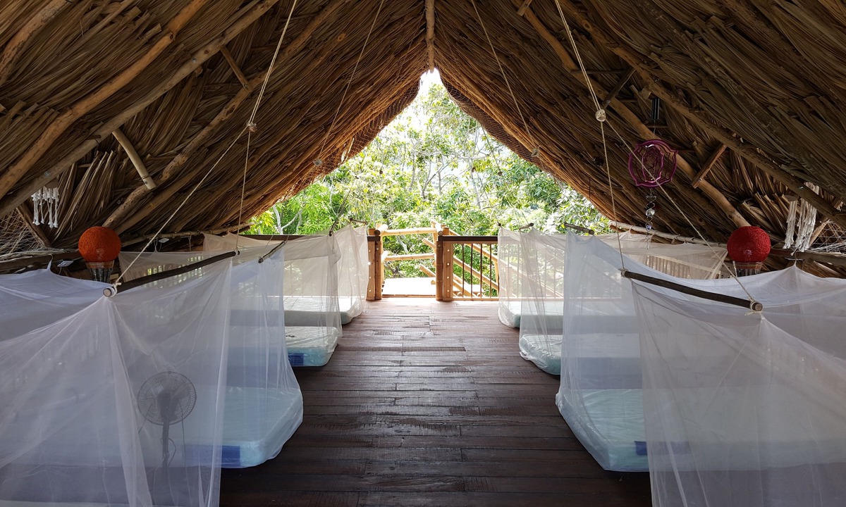 Palomino Hostel | La Natura Hostel