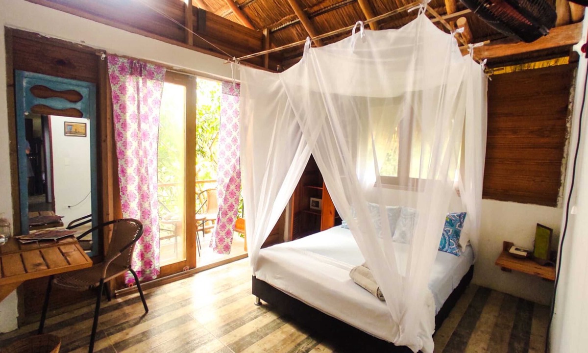 Palomino House | Tribbela