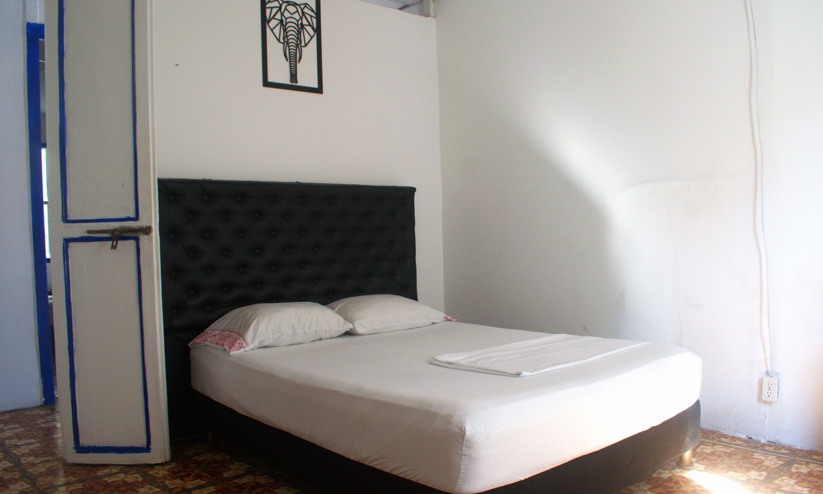 Torices Hostel | MANGO TREE HOSTEL 4 20