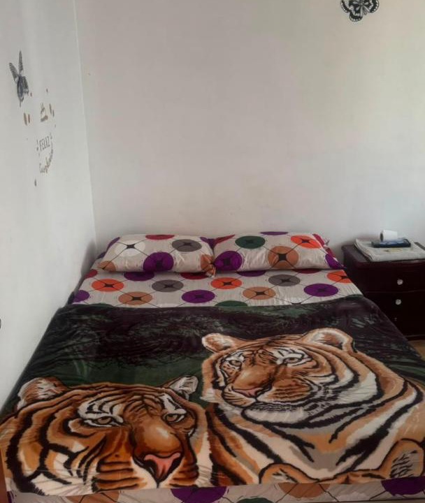 Samana Apartment | Hotel El Encanto