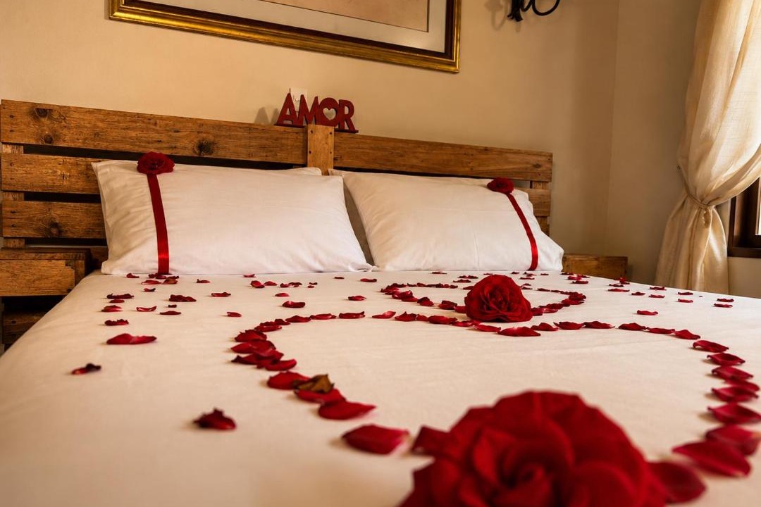 Alejandria Hotel | Ecohotel El Amarradero