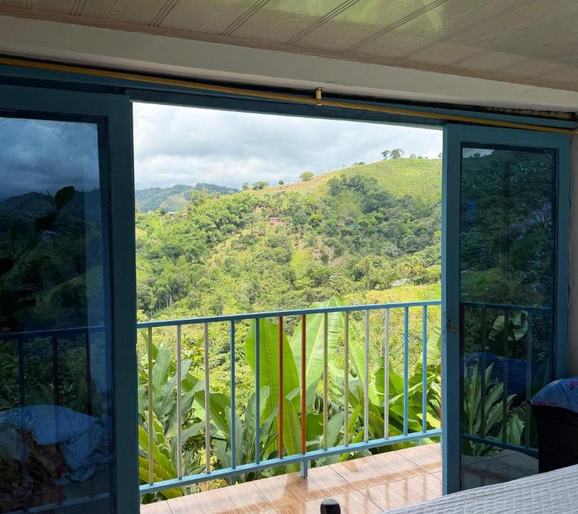 Samana Cabin | Alojamiento Las RoCas