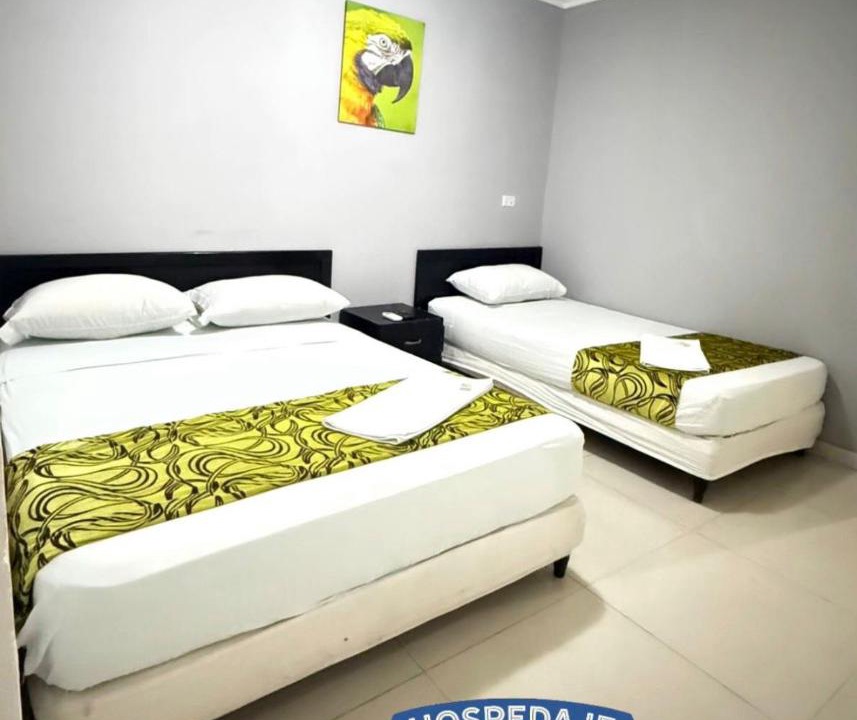 Sur Oriente House | Hospedaje El Lorito