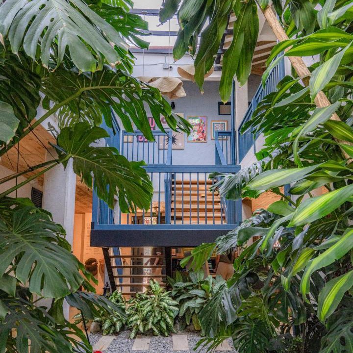 Jardin Hotel | Hotel Plantación