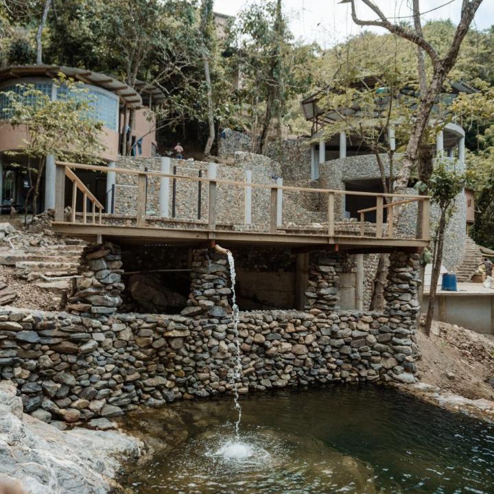 Palomino House | Ahora Wellness Hostel