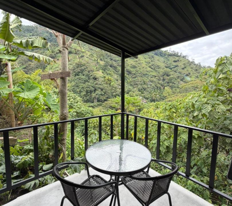 Ibague Other | Animadbali1