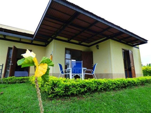 El Caimo Apartment | Riverwalk cabañas junto al rio