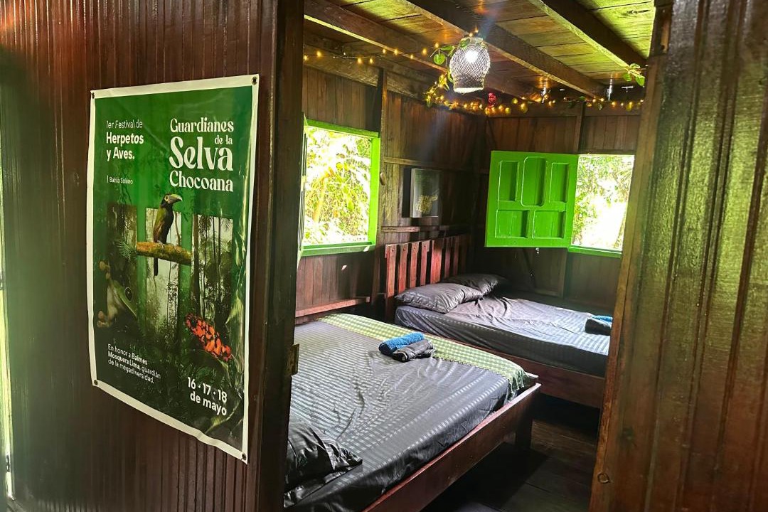 El Valle Hostel | Birding & herping bahía solano ecohostel