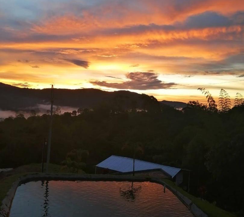 Cocorna Hotel | Eco Hotel Los cedros