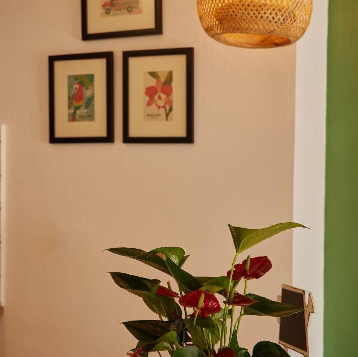 Zona Rosa Apartment | Great condo Close to everything