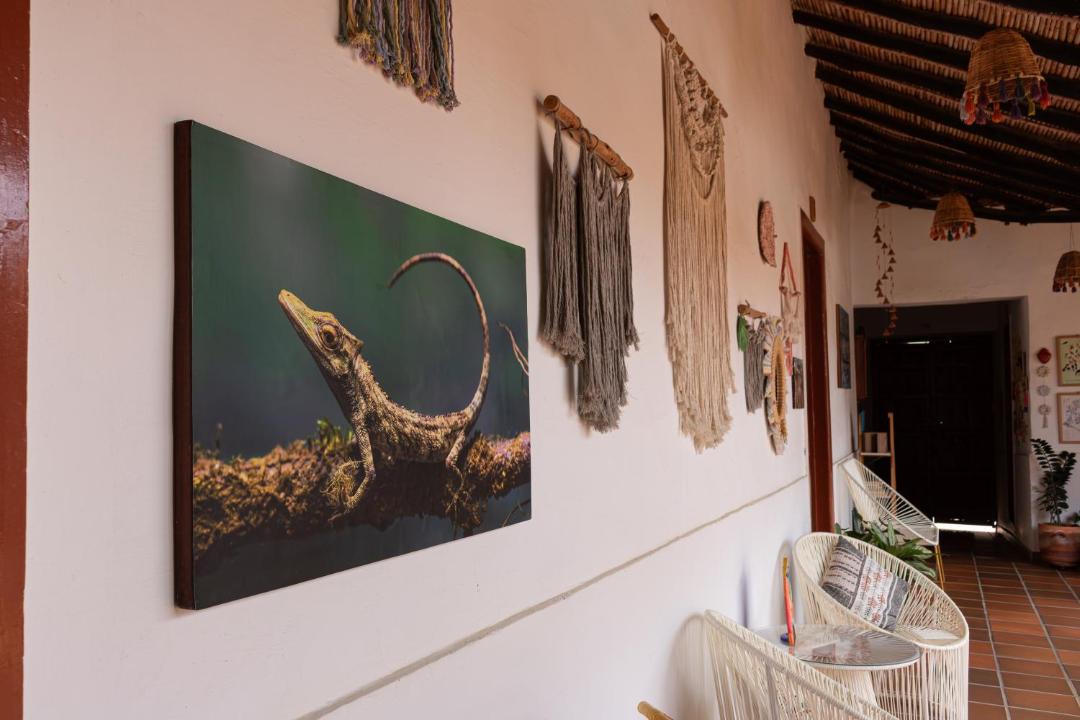 Zapatoca Hotel | La Casona Espacio Bonito