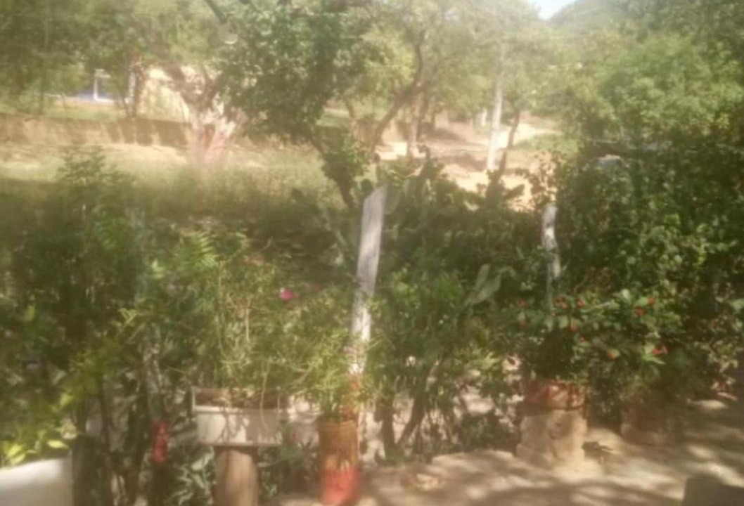 Taganga Other | casa camping mr wilson