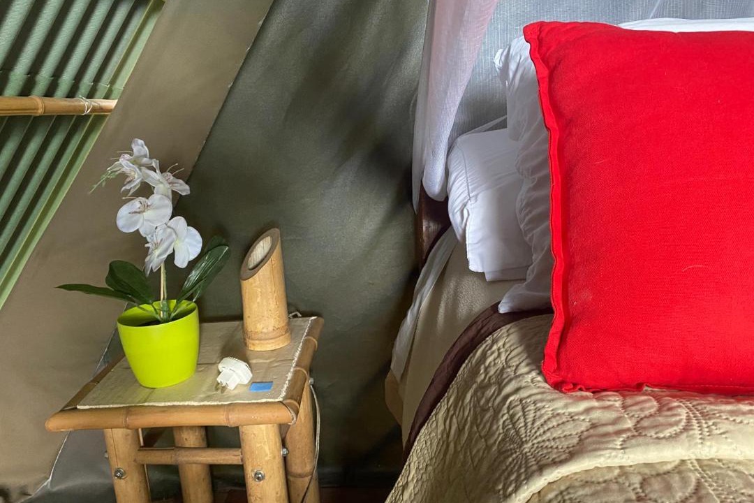 San Antonio del Tequendama House | Glamping El Árbol en la Casa
