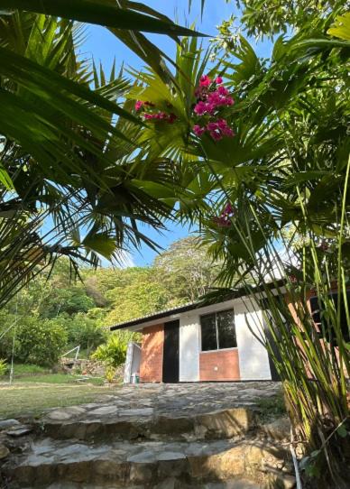 Lebrija House | La fortuna ecoglamping