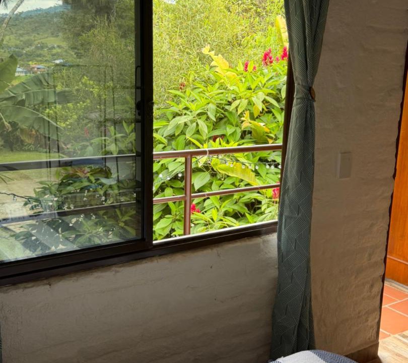 Dagua House | ecopolis hospedaje birding