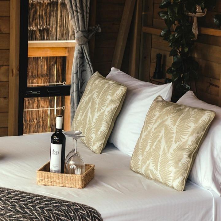 San Carlos House | Cabaña Glamping San Carlos Antioquía Pun chinaw Ecocabañas