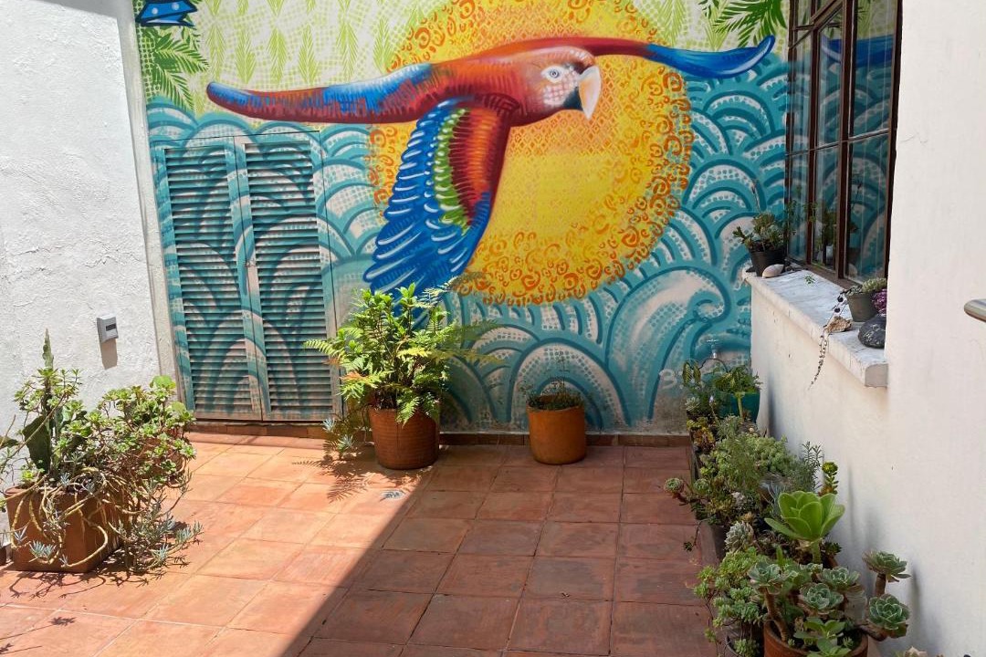 La Candelaria Bed & Breakfast | Casa Muntú - La Candelaria
