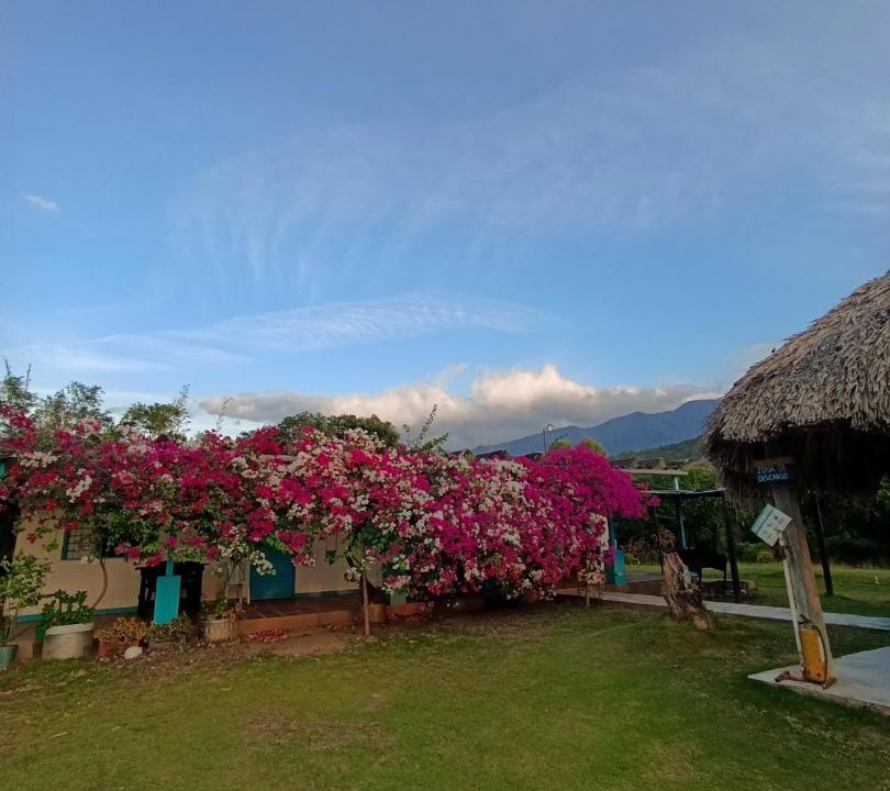 Bonda House | Ecoturismo Los Mangos